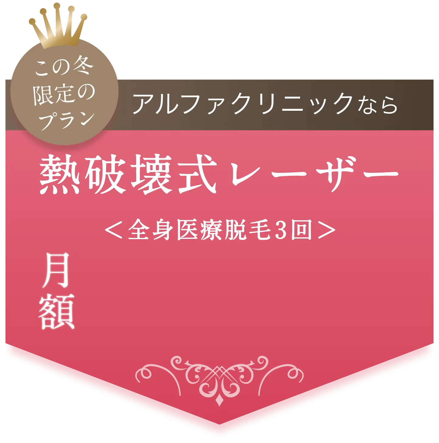 熱破壊式レーザー ＜全身医療脱毛3回＞